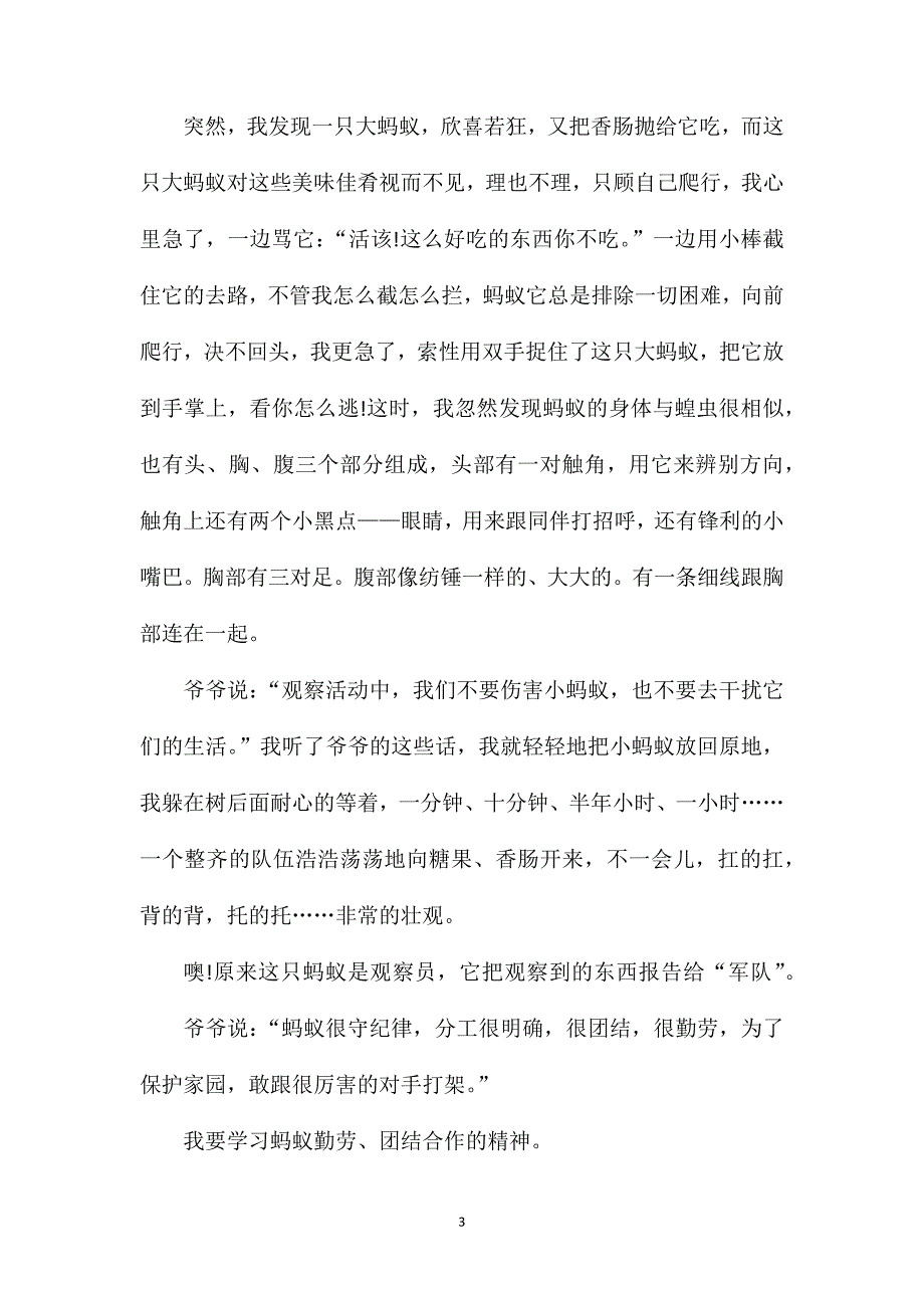 观察蚂蚁作文600字六年级范文.doc_第3页