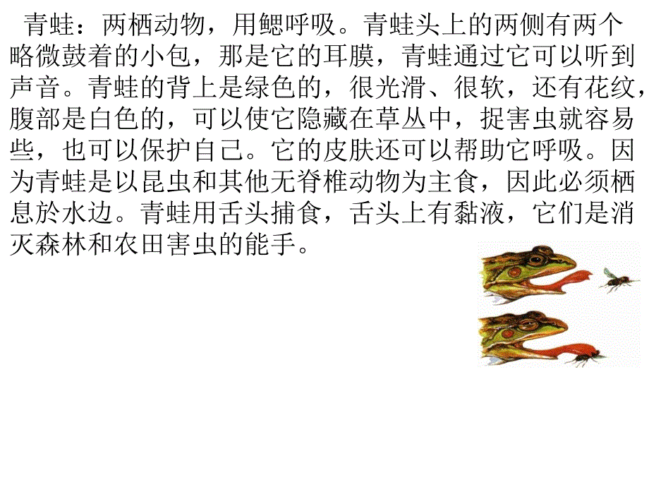 部编版小青蛙课件_第3页