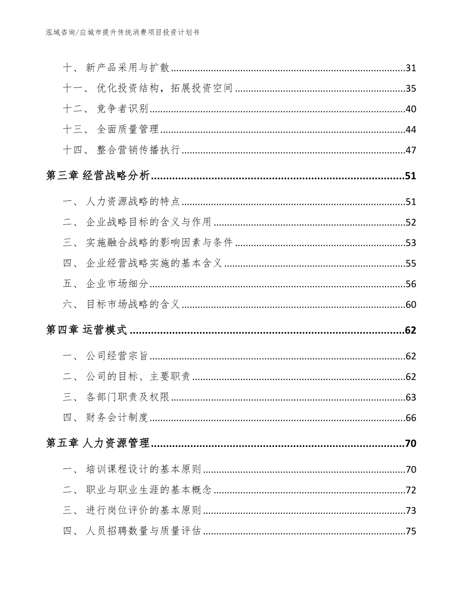 应城市提升传统消费项目投资计划书_模板范本_第3页