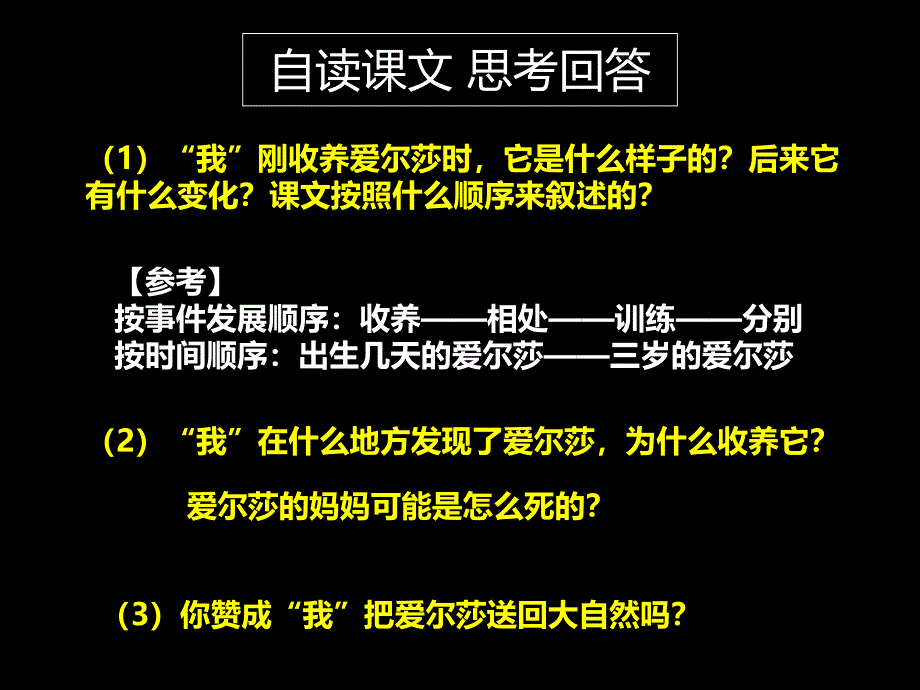 小狮子爱尔莎课件_第2页