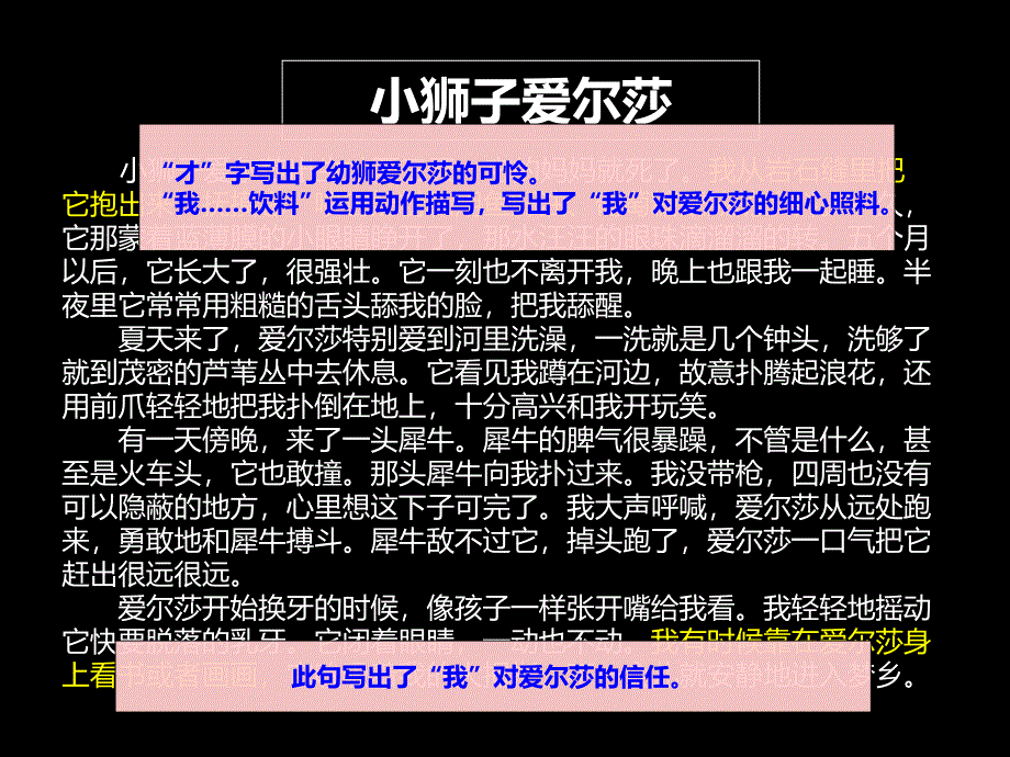 小狮子爱尔莎课件_第4页