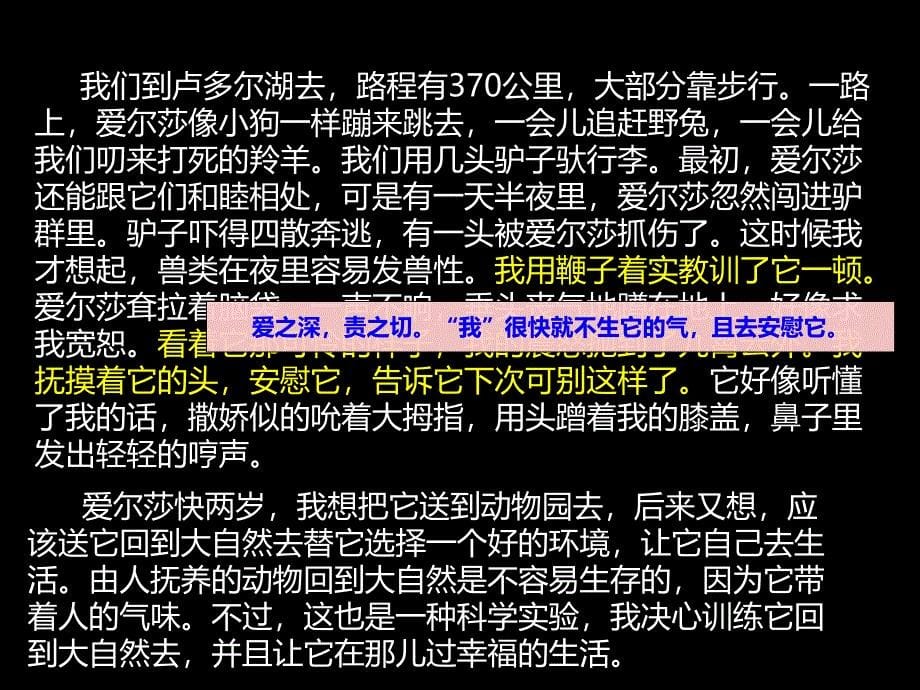 小狮子爱尔莎课件_第5页