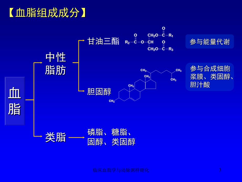 临床血脂学与动脉粥样硬化课件_第3页