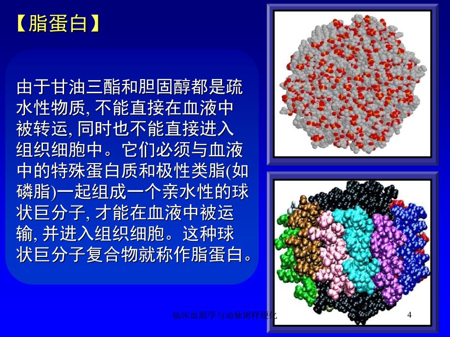 临床血脂学与动脉粥样硬化课件_第4页