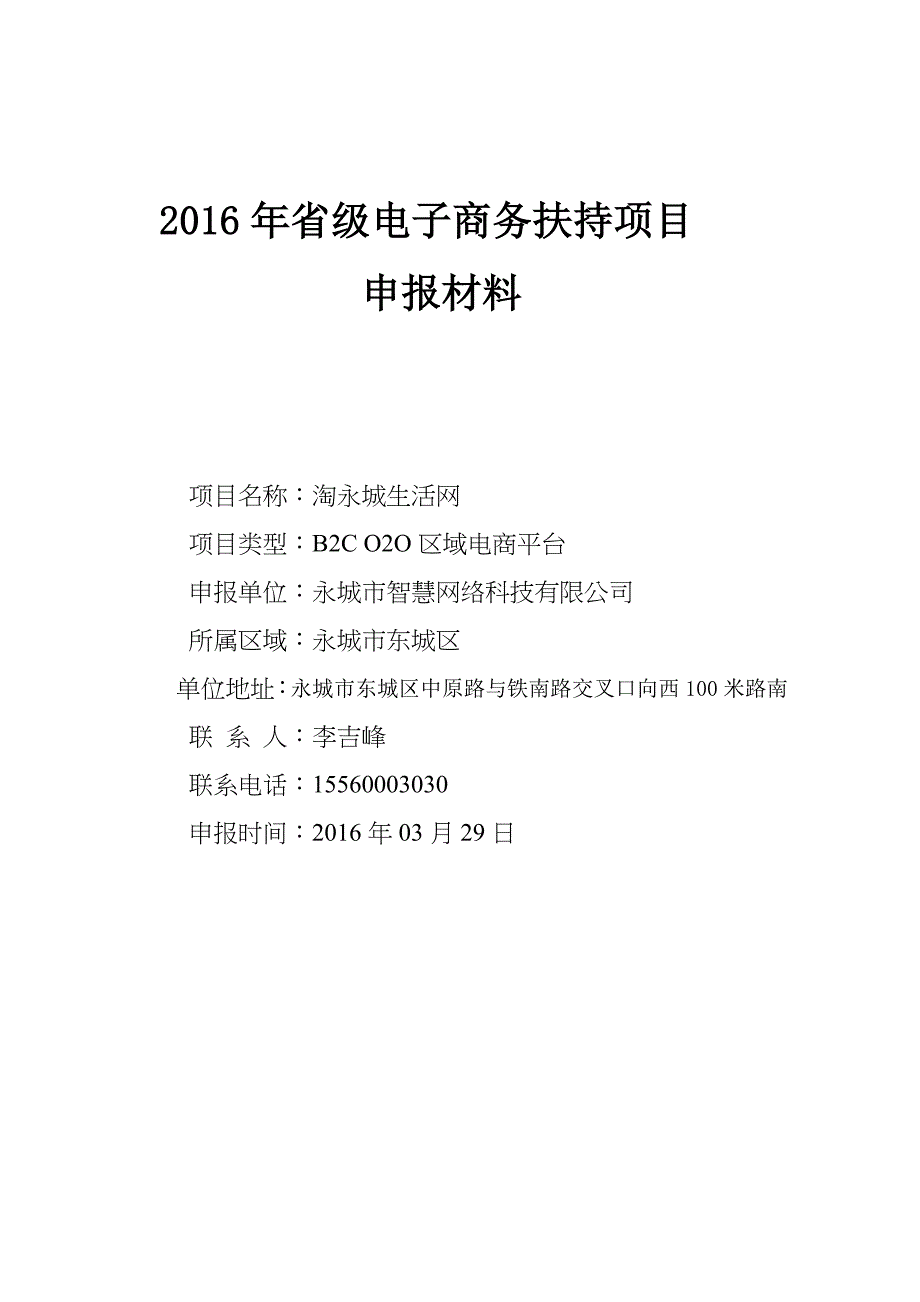 2016年省级电子商务扶持项目申报材料.docx_第1页