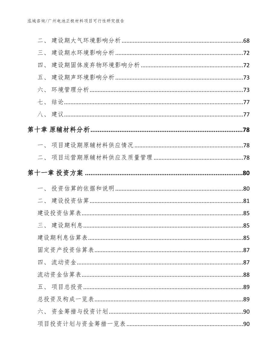 广州电池正极材料项目可行性研究报告_范文模板_第5页