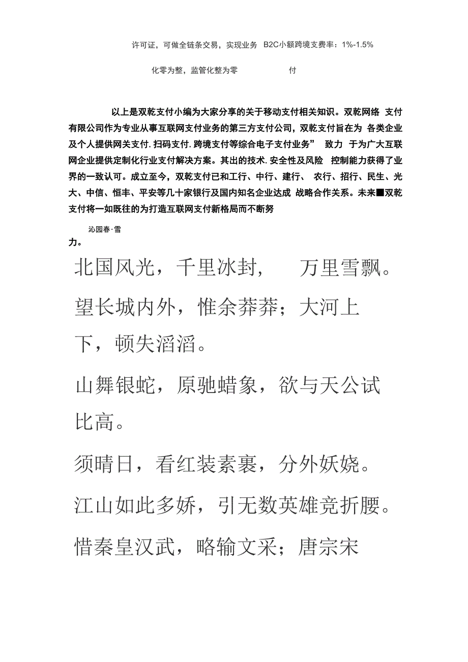 跨境电商支付平台_第3页