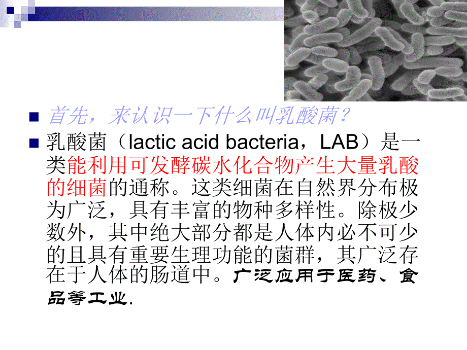 乳酸菌应用教学_第2页