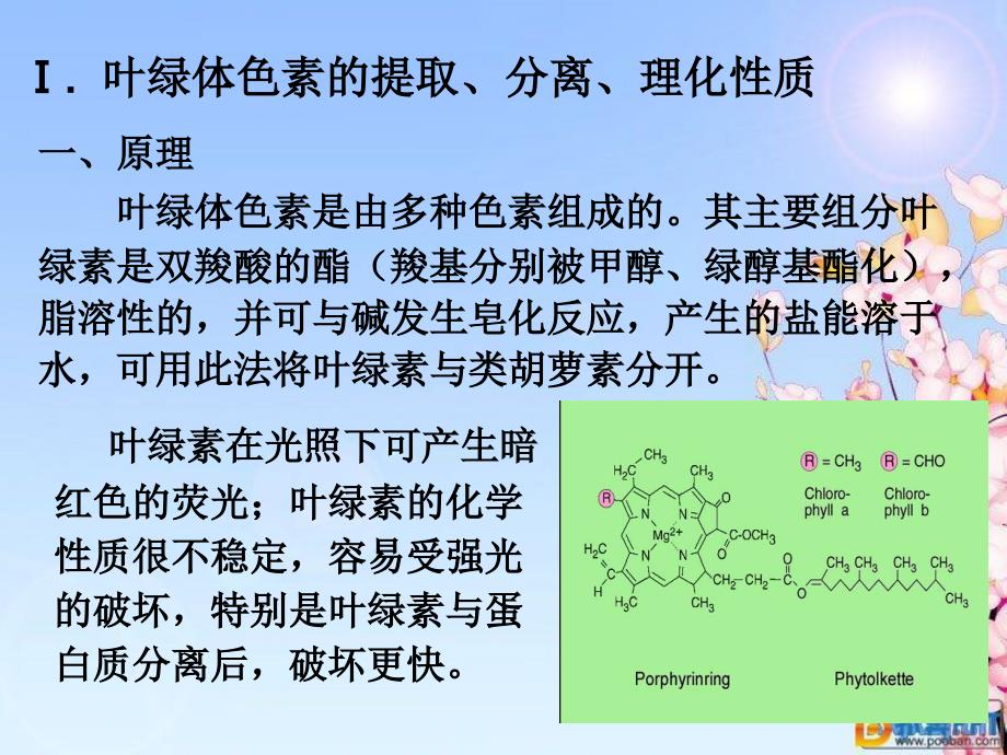 实验叶绿体色素的提取分离理化性质鉴定和定量测定PPT课件_第2页