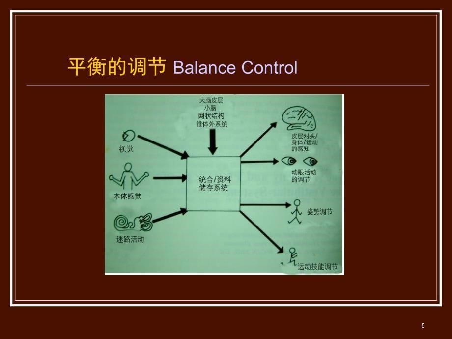 良性阵发性位置性眩晕ppt参考课件_第5页