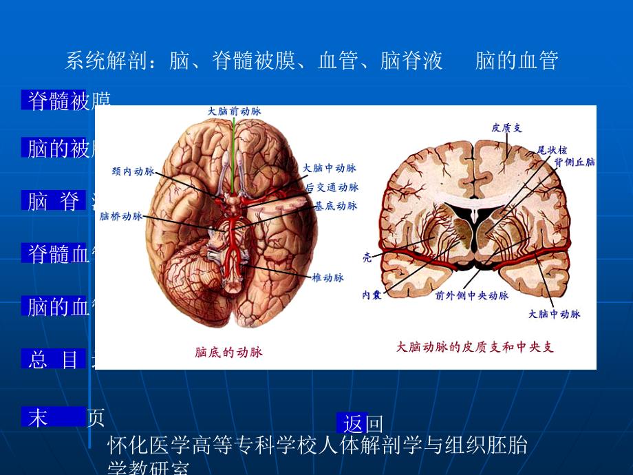 急性脑血管疾病70089_第4页