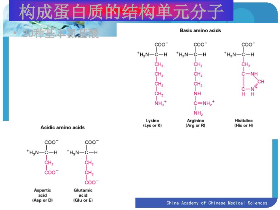 生物药物分析与检测：第八章 氨基酸和蛋白质类药物的分析_第3页