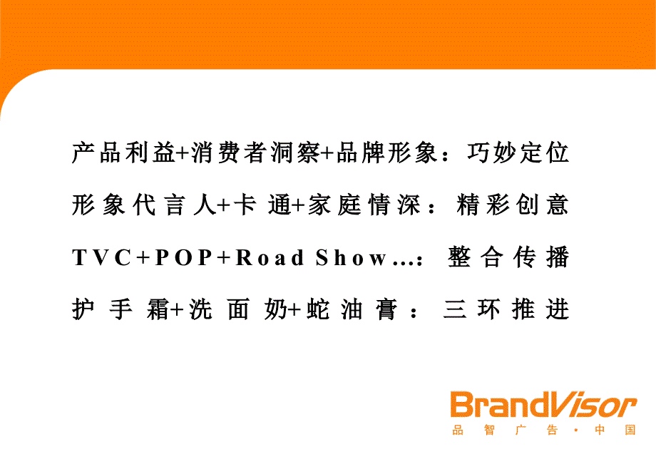 隆力奇化妆品全面代理工作总结_第2页