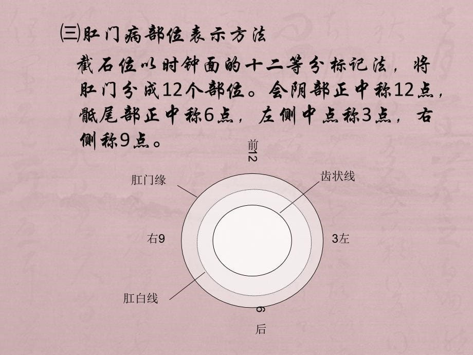 中医外科学_第5页