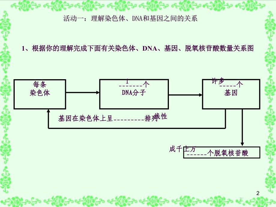 基因是具有遗传效应的DNA片段ppt课件_第2页