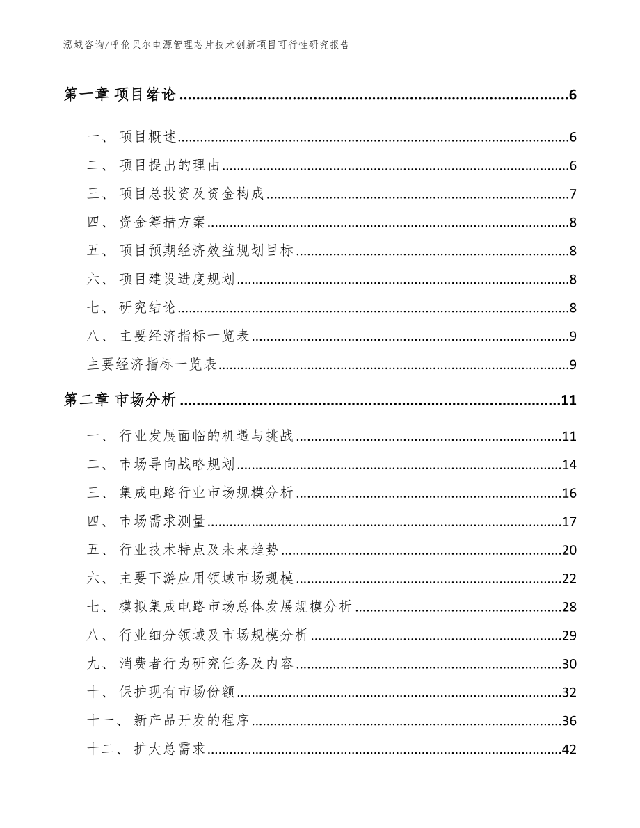 呼伦贝尔电源管理芯片技术创新项目可行性研究报告（范文）_第2页