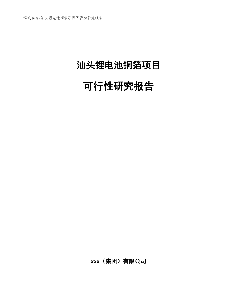 汕头锂电池铜箔项目可行性研究报告（模板范本）_第1页