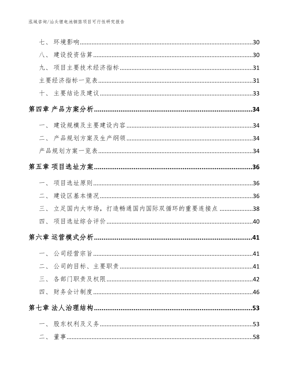 汕头锂电池铜箔项目可行性研究报告（模板范本）_第3页