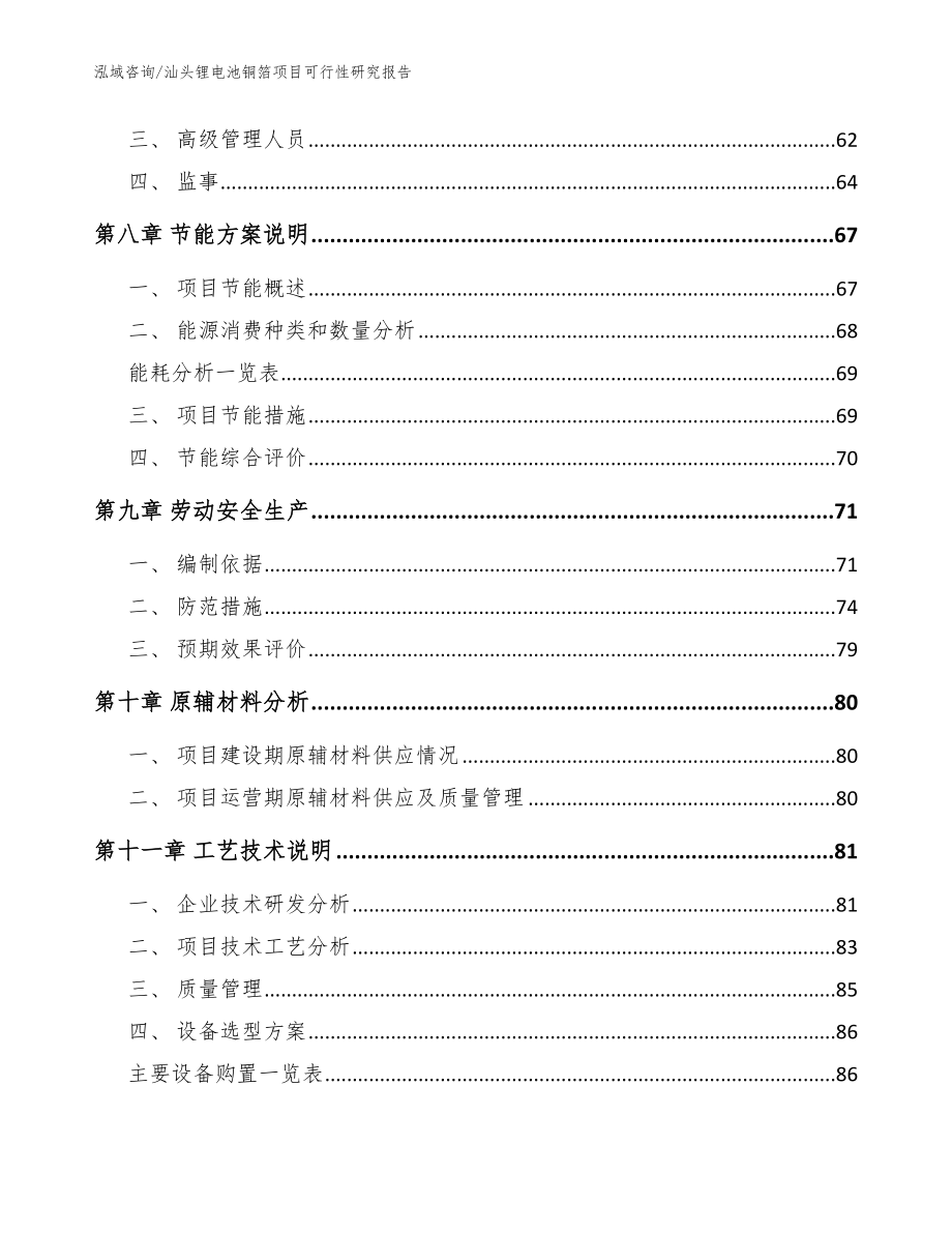 汕头锂电池铜箔项目可行性研究报告（模板范本）_第4页