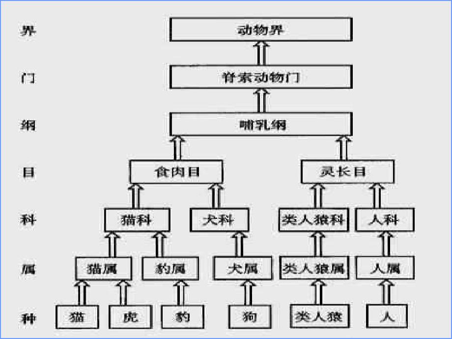 认识生物多样性_第3页