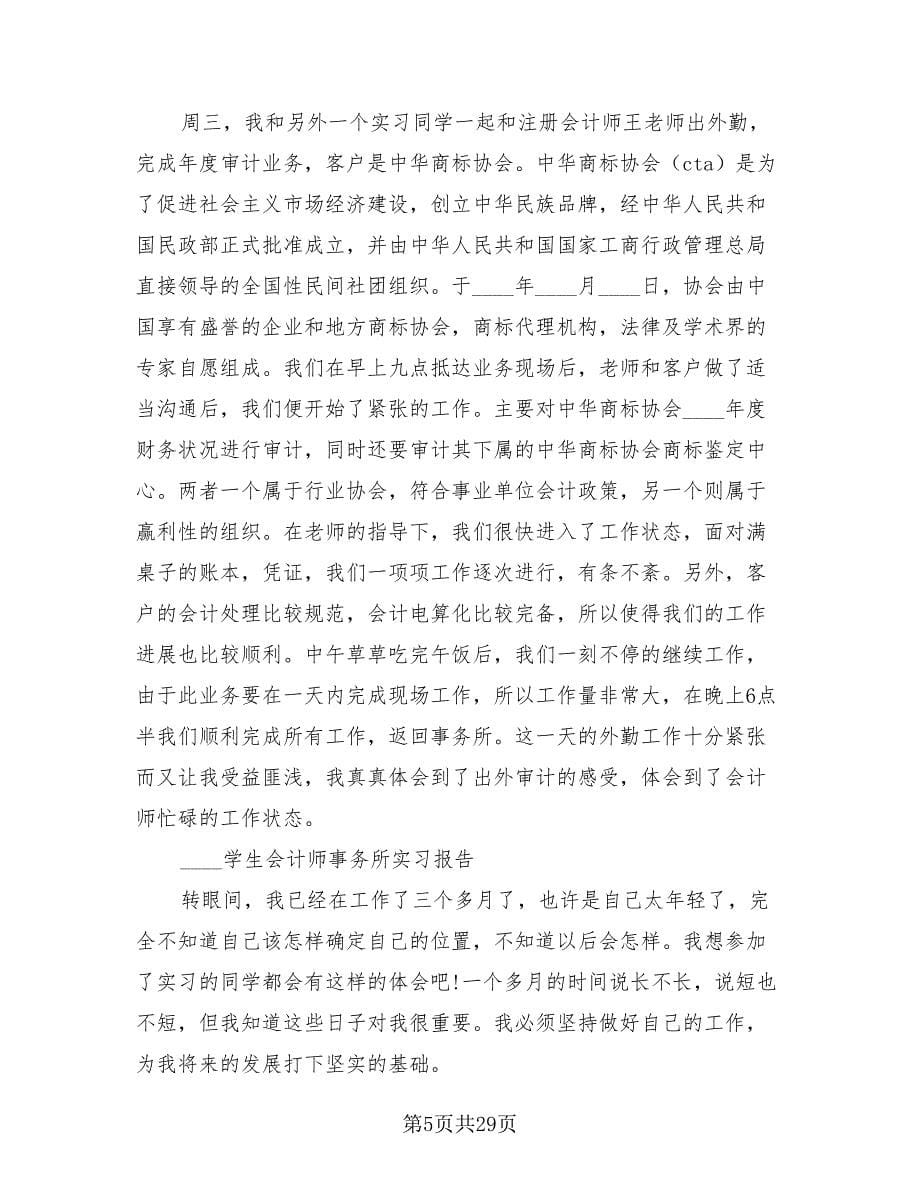 会计师事务所工作总结标准范本（4篇）.doc_第5页