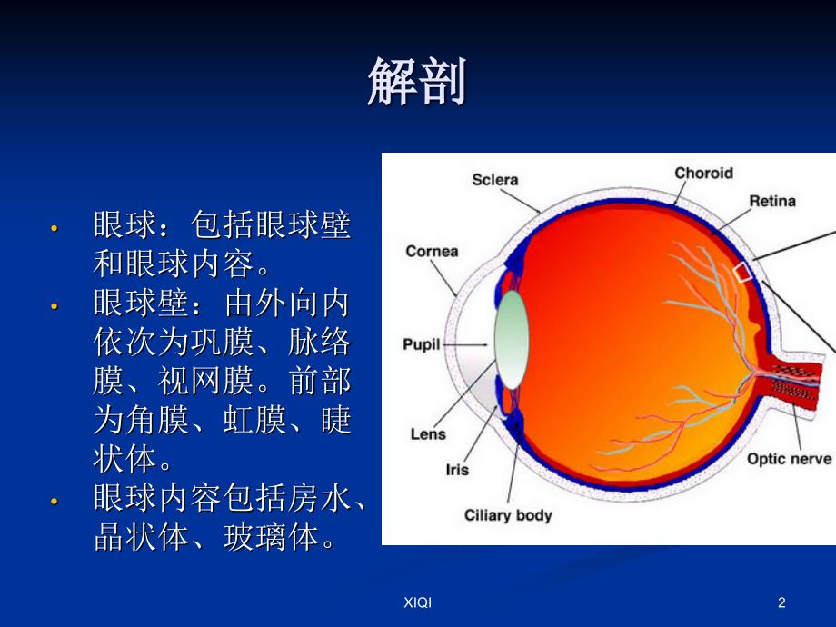 视网膜母细胞瘤影像学表现_第2页