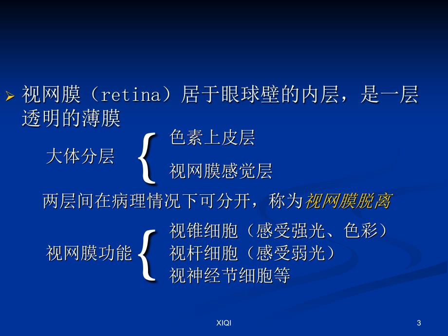 视网膜母细胞瘤影像学表现_第3页