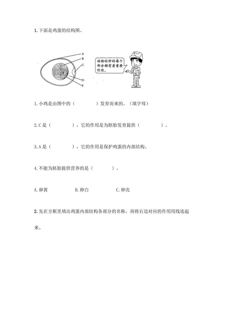 三年级下册科学：第二单元测试卷及1套参考答案.docx_第5页