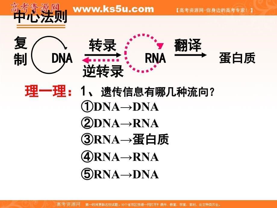 生物课件：基因对性状的控制专题复习_第5页