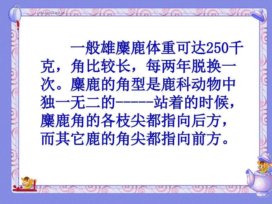 国标本六年级上册麋鹿唯亭实验小学陈静教案_第5页