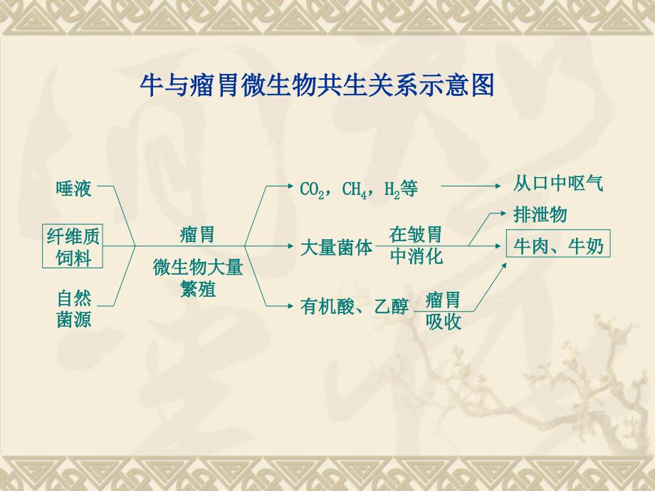 微生物与任何一种生物之间的关系_第4页