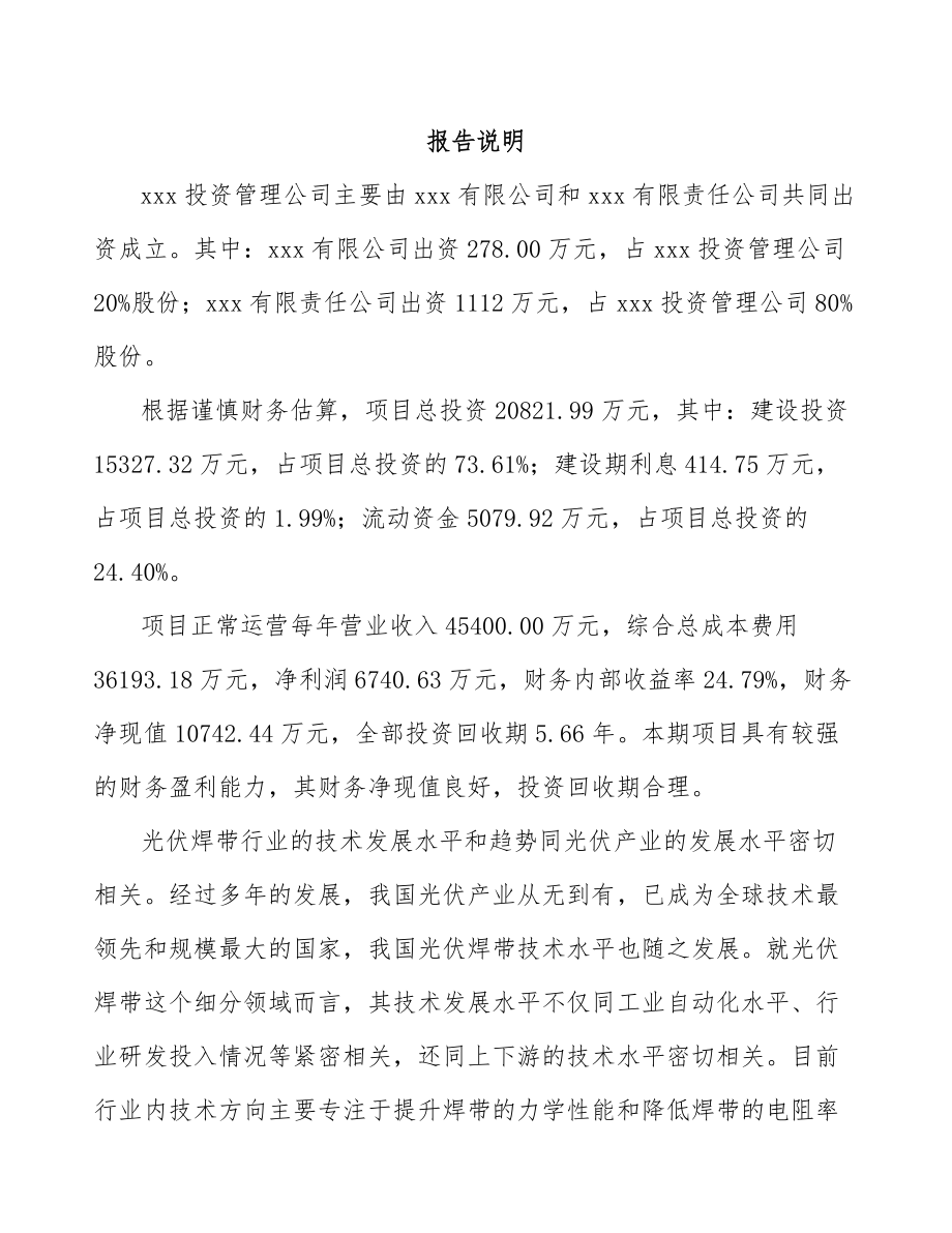 武汉关于成立光伏焊带公司可行性研究报告_第2页