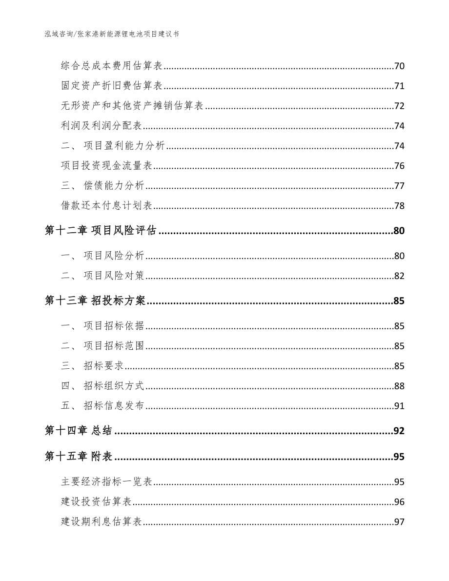 张家港新能源锂电池项目建议书【范文】_第5页