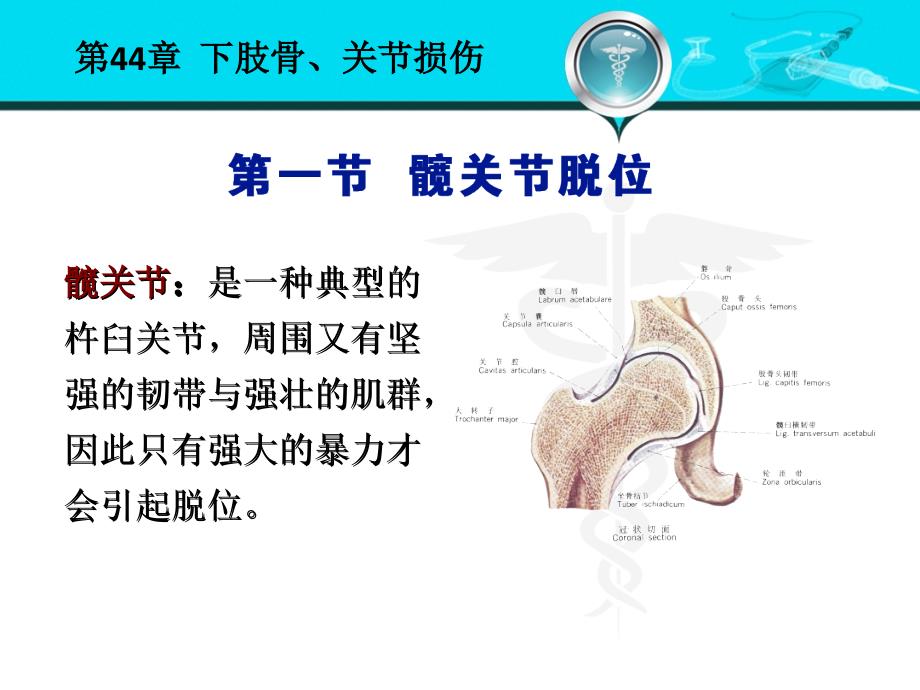 外科学第八版 下肢骨关节损伤.ppt_第3页