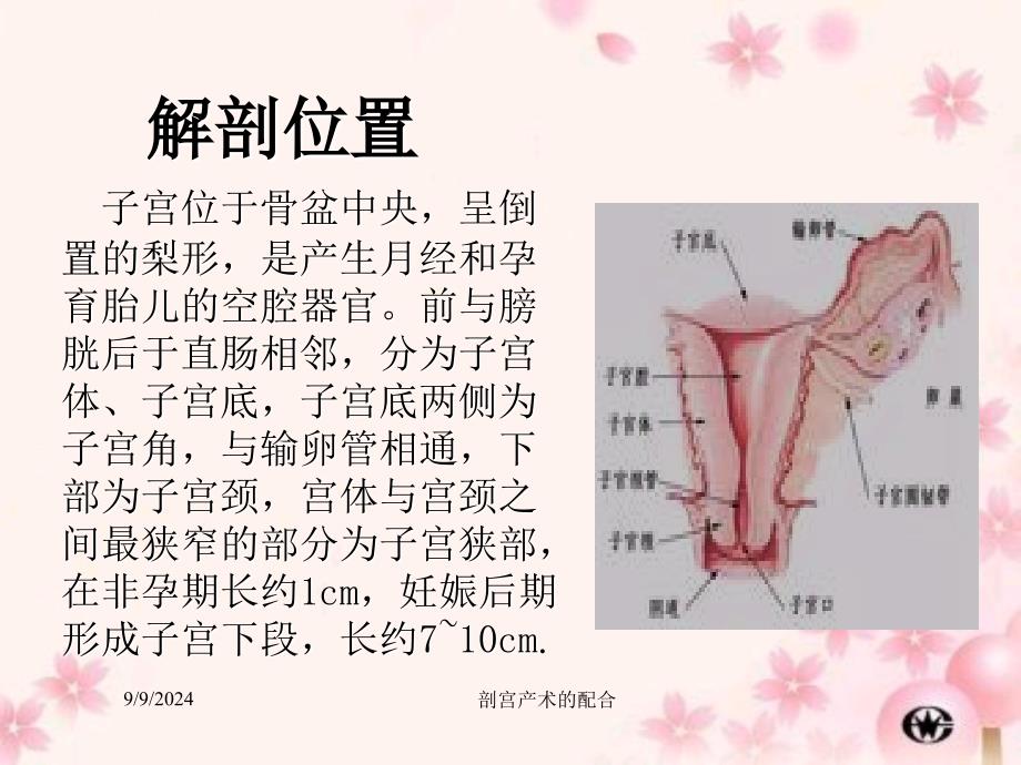 剖宫产术的配合课件_第4页