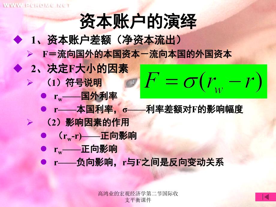 高鸿业的宏观经济学第二节国际收支平衡课件_第4页