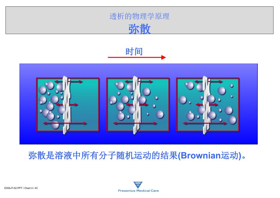 透析器知识PPT参考幻灯片_第4页