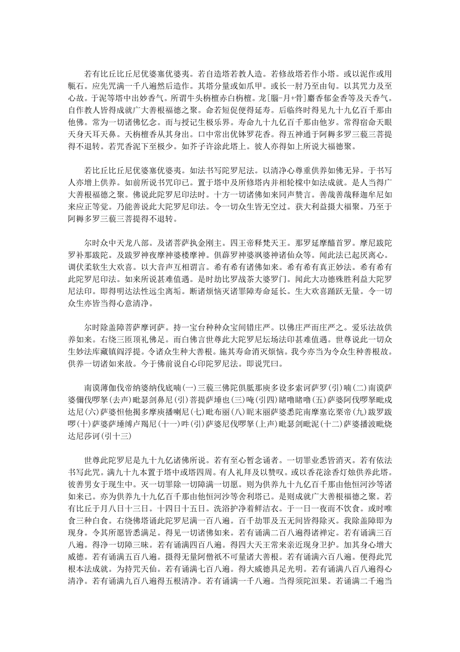 无垢净光大陀罗尼经一卷.doc_第3页