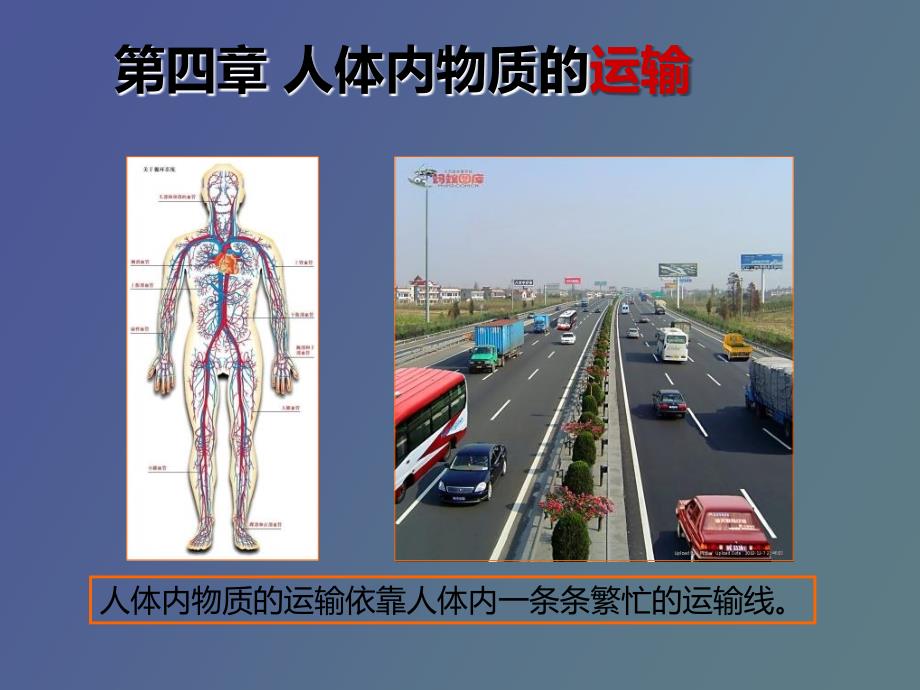 流动的组织血液_第1页