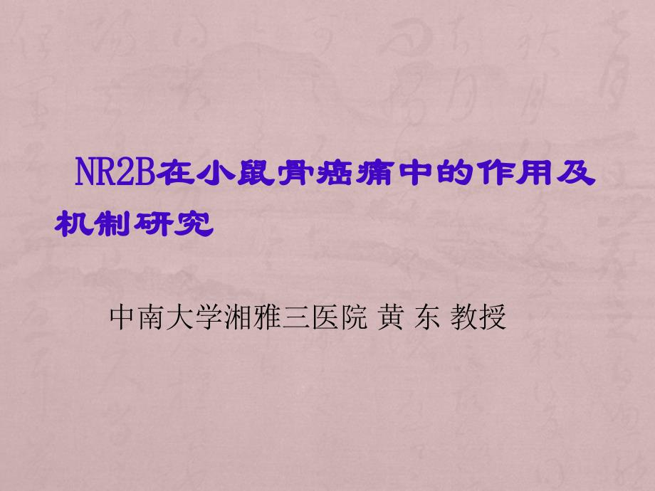 NR2B在小鼠骨癌痛中的作用及机制研究_第1页