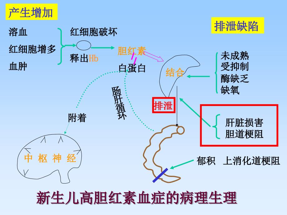 早产儿胆汁淤滞综合症的防治_第4页