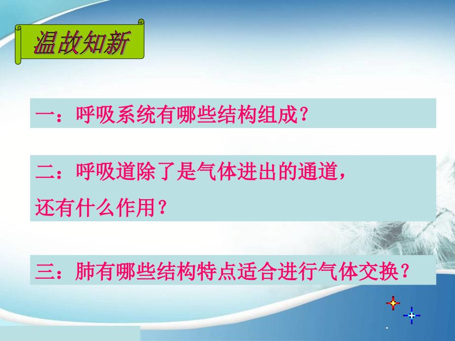 肺与外界的气体交换新公开课_第3页