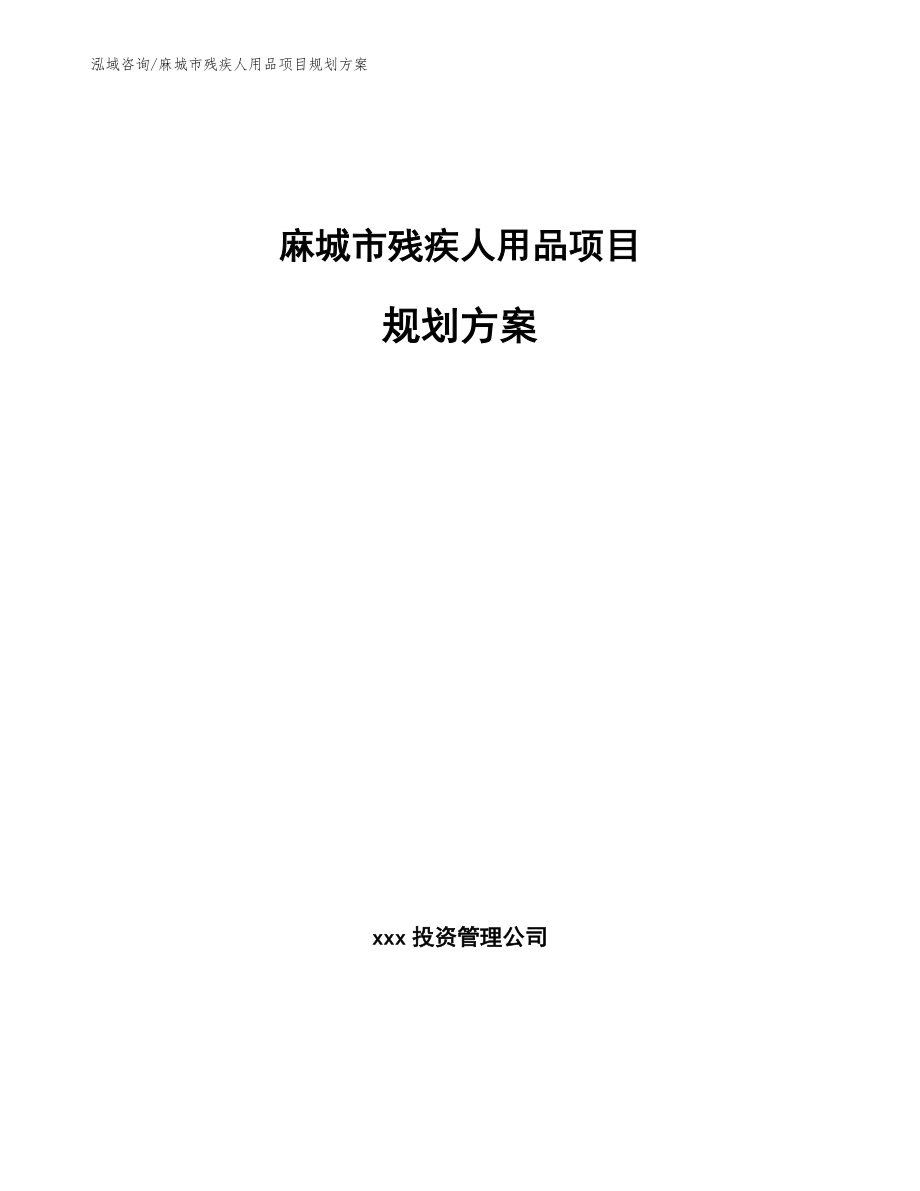 麻城市残疾人用品项目规划_模板_第1页