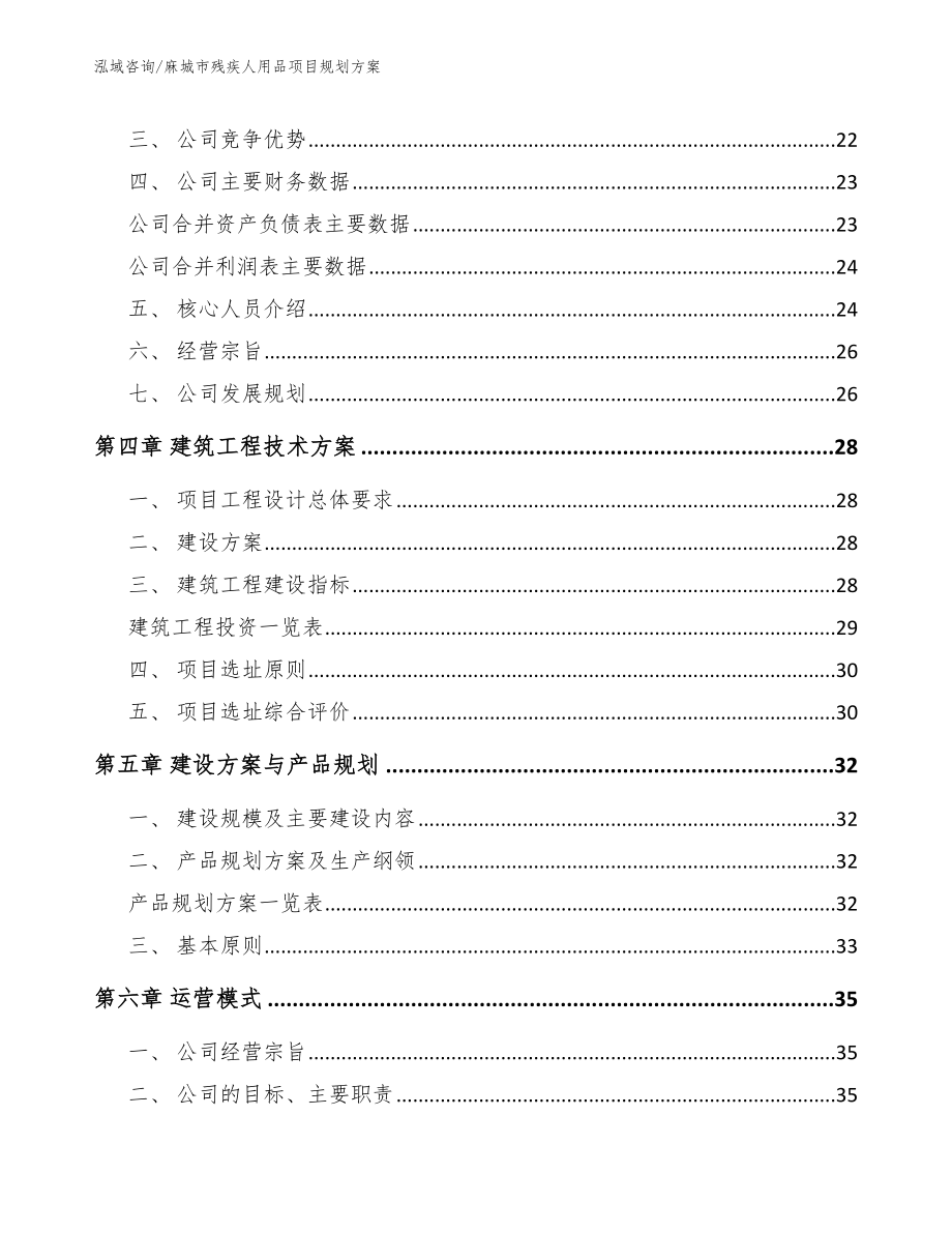 麻城市残疾人用品项目规划_模板_第3页