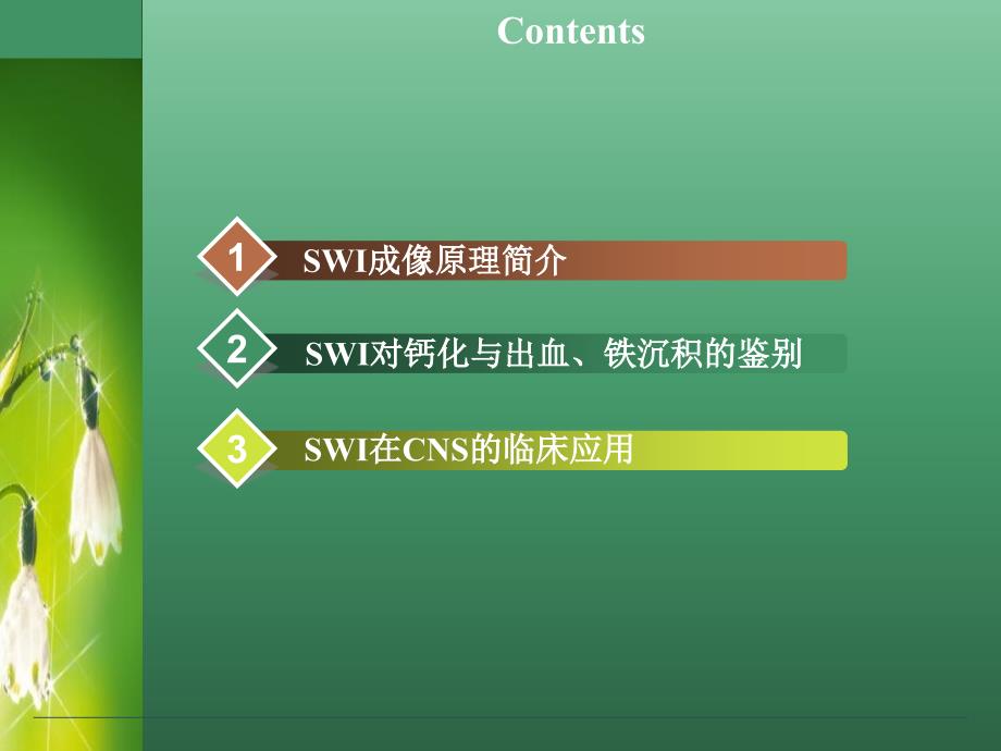 SWI的临床应用课件_第2页