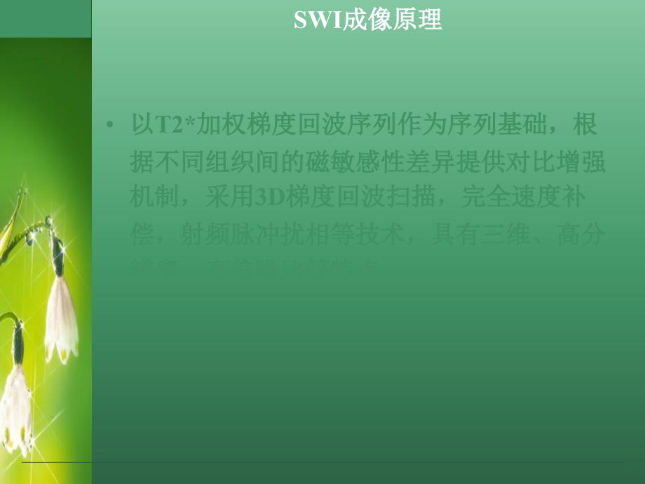 SWI的临床应用课件_第4页