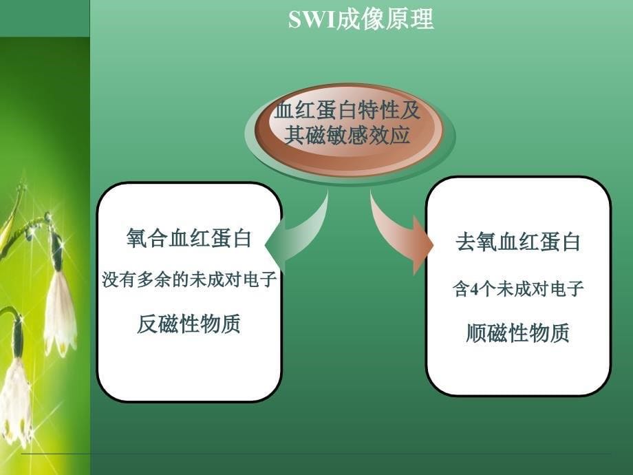 SWI的临床应用课件_第5页