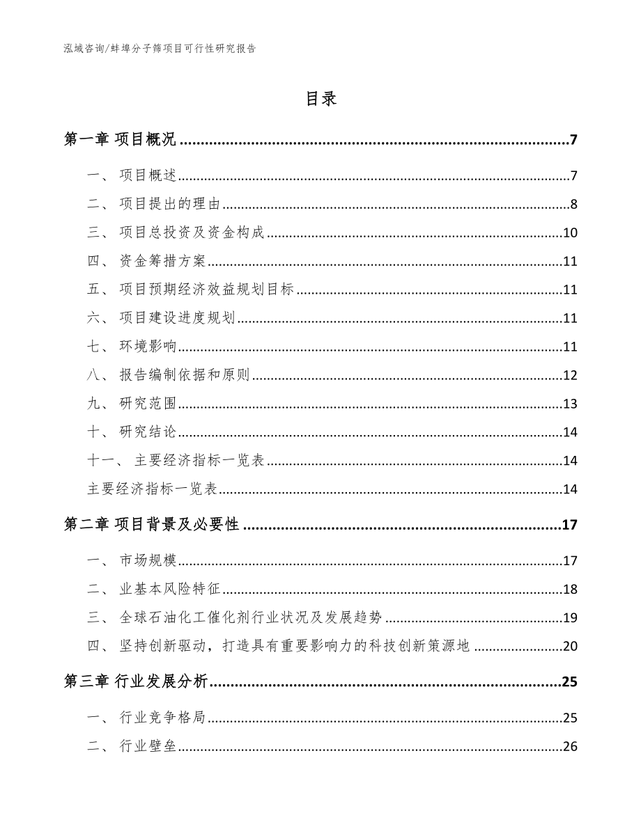 蚌埠分子筛项目可行性研究报告_第1页
