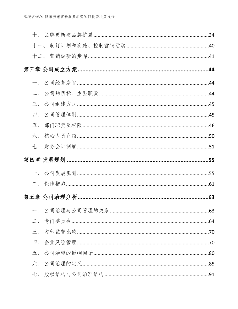 沁阳市养老育幼服务消费项目投资决策报告模板_第2页