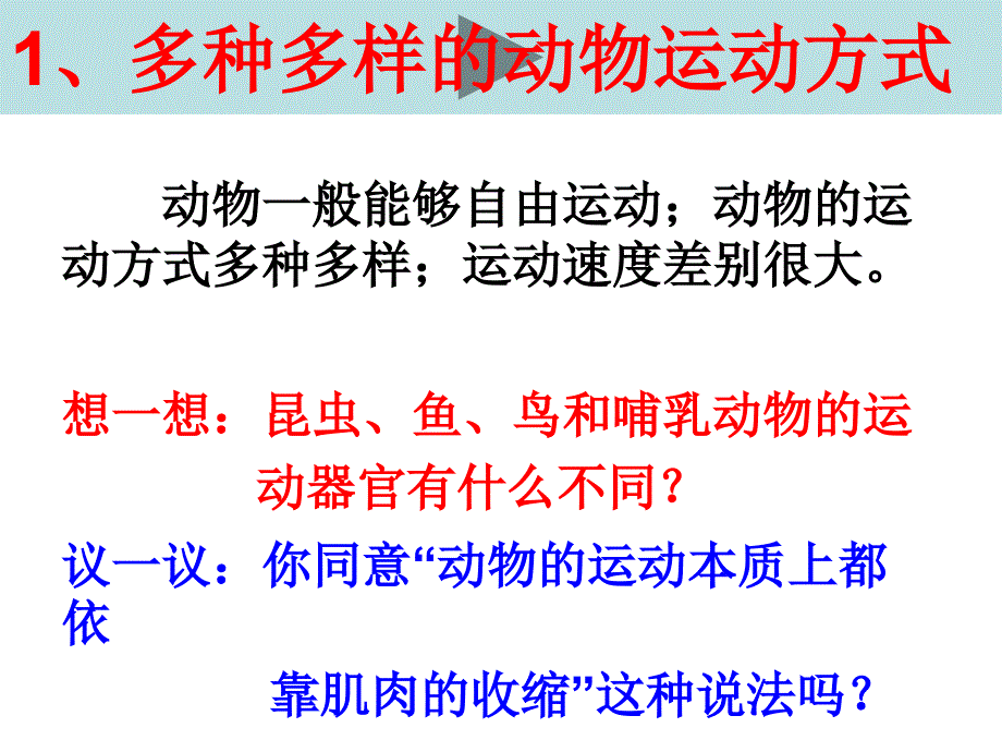 第一节动物的运动_第3页